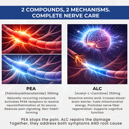 Neuroglad PEA and ALC formula for nerve repair and pain support