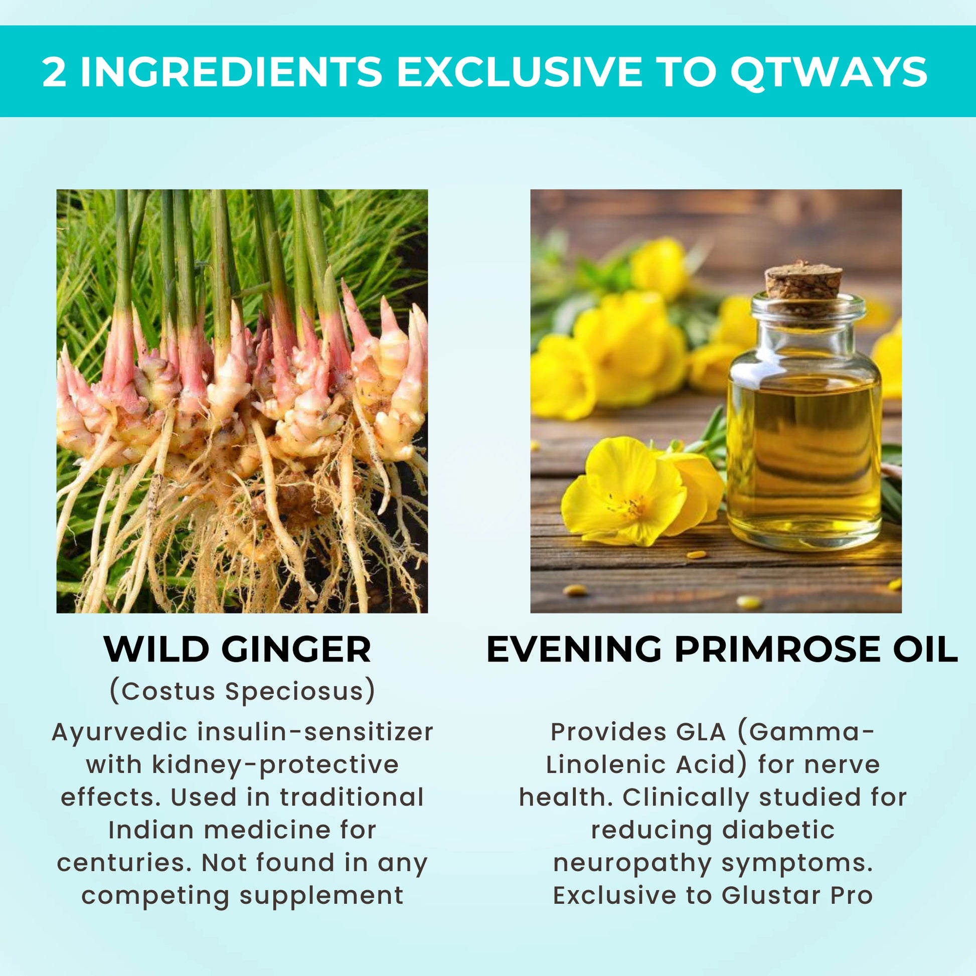 Glustar Pro wild ginger and evening primrose oil for diabetic support